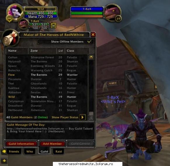 Salam Victoria - Guild - Eu la lvl 19 (Wild din guildu' - Faze tari din joc, discutii